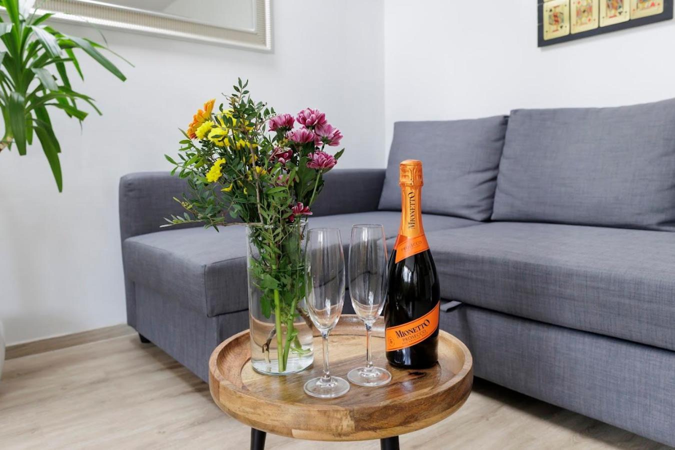 Vip Apartment In Old Town With Free Parking Bratislava Exterior foto