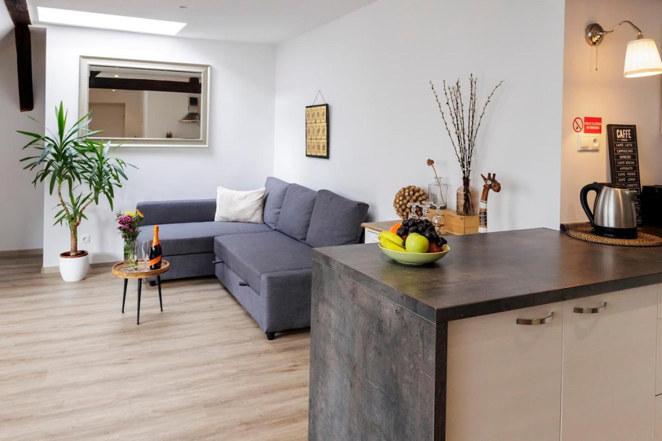 Vip Apartment In Old Town With Free Parking Bratislava Exterior foto
